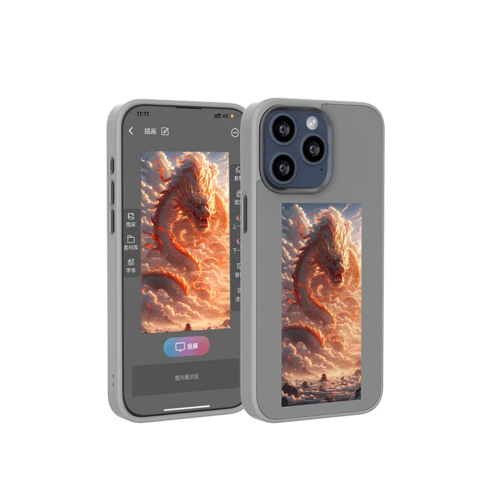 E-Ink Protection Case