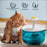 Cats and dogs pet new fountain flower water dispenser automatic cat water dispenser dog water dispenser food grade PP material, quiet operation, USB powered, safe and secure, suitable for cats and dogs large capacity