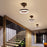 Contemporary Dual Ring LED Ceiling Light