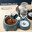 Pet Supplies Cat Automatic Feeder Integrated Pet Feeder, Automatic Water Dispenser, Anti-slip Tilted Stainless Steel Bowl, Cat and Dog Supplies Suitable for Cats and Dogs, No Batteries Required, No Power Supply, Cat Automatic