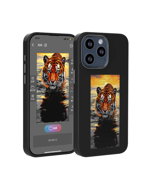 E-Ink Protection Case