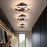 Contemporary Dual Ring LED Ceiling Light