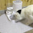 2-in-1 Automatic Cat Feeder & Water Dispenser - Neck-Friendly Anti-Choking Design, Leak-Proof Pet Station with Spill-Proof Lid, Multi-Compartment Food & Water Dispenser for Busy Cat Owners, Indoor Pet Feeder & Water Dispenser