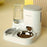 2-in-1 Automatic Cat Feeder and Water Dispenser Set with Stainless Steel Bowl - Detachable, Washable Pet Food & Water Station for Indoor Cats, Non-Electric, Easy-Clean Design