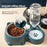 Pet Supplies Cat Automatic Feeder Integrated Pet Feeder, Automatic Water Dispenser, Anti-slip Tilted Stainless Steel Bowl, Cat and Dog Supplies Suitable for Cats and Dogs, No Batteries Required, No Power Supply, Cat Automatic